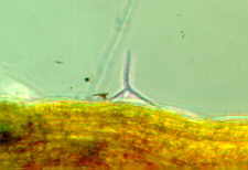 11-46 3pointlanding.jpg (4077 bytes)