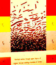 11-66 horizons.jpg (132504 bytes)