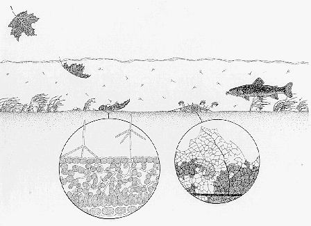 11 stream diagram.gif (30018 bytes)