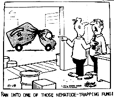 15-19 nema cartoon.gif (6610 bytes)