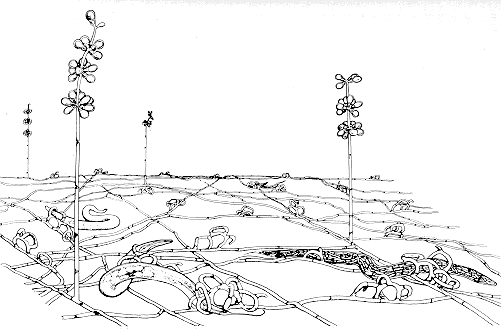 15-1 landscape.gif (18740 bytes)