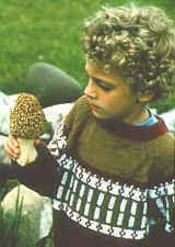 18-32 morels 2 curly heads.jpg (7148 bytes)