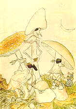 22-2 toxic Amanitas.jpg (7175 bytes)