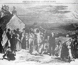 blight3.jpg (14181 bytes)