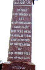 blight6.jpg (5137 bytes)