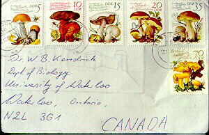 bolet16.jpg (12427 bytes)