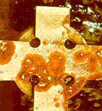 lich23.jpg (7622 bytes)