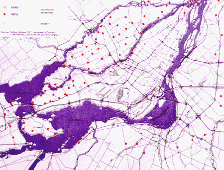 lich25.gif (47401 bytes)