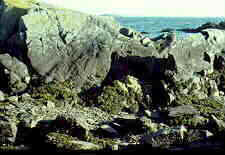 lich4.jpg (6649 bytes)