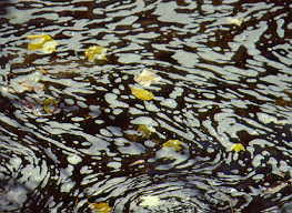 11 stream foam2.jpg (15663 bytes)